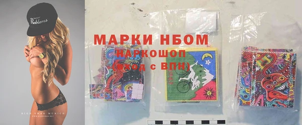 стаф Белокуриха